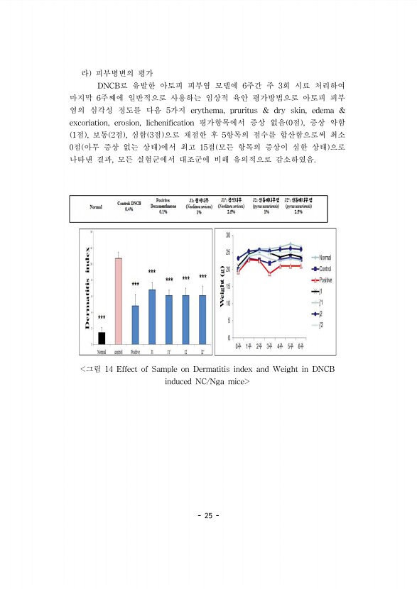 25페이지