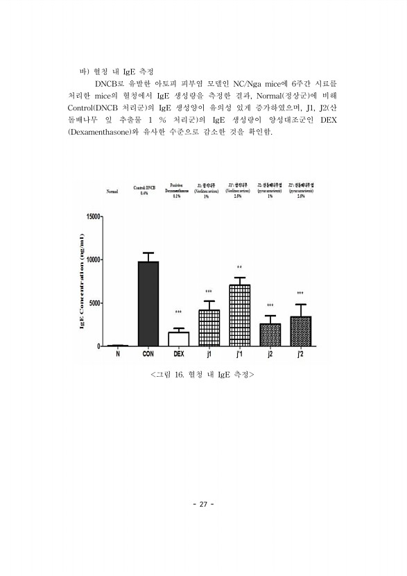 27페이지