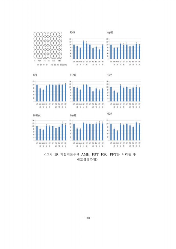 30페이지