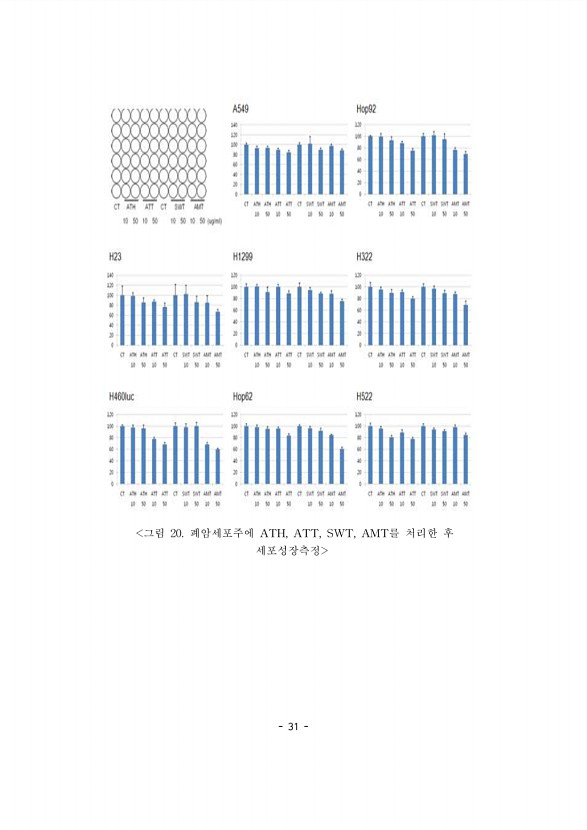 31페이지
