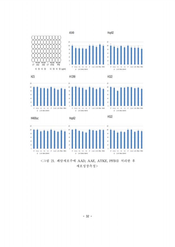 32페이지