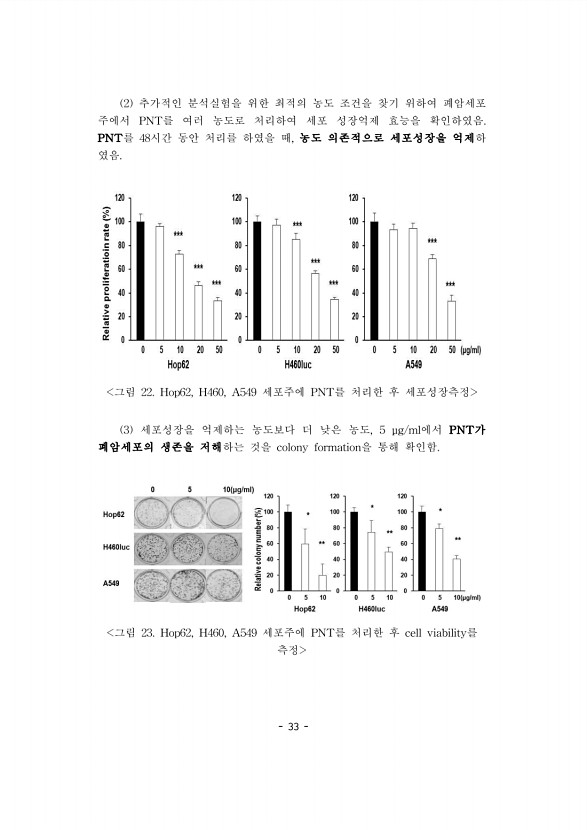 33페이지