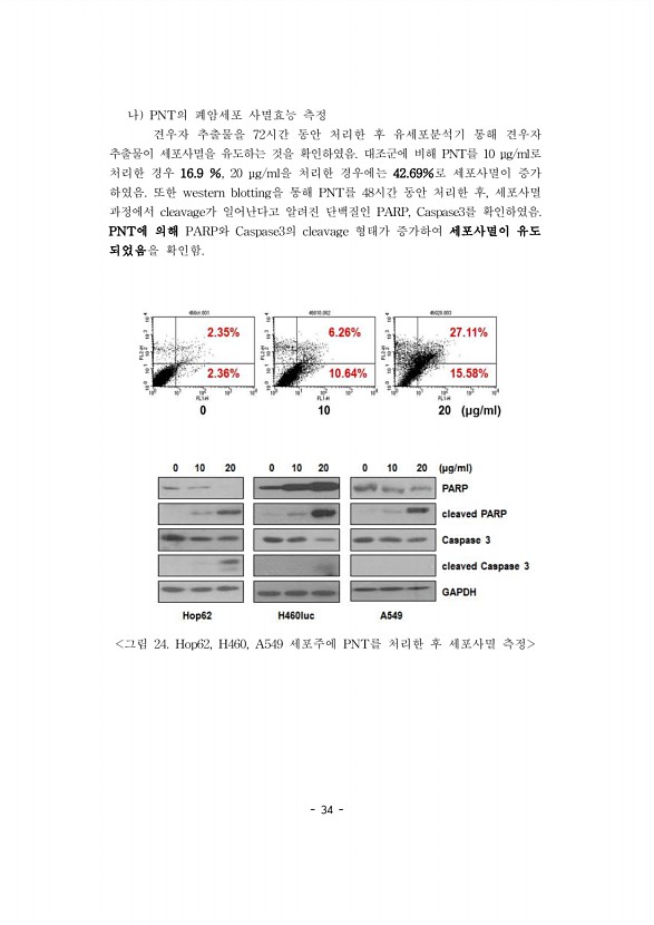 34페이지