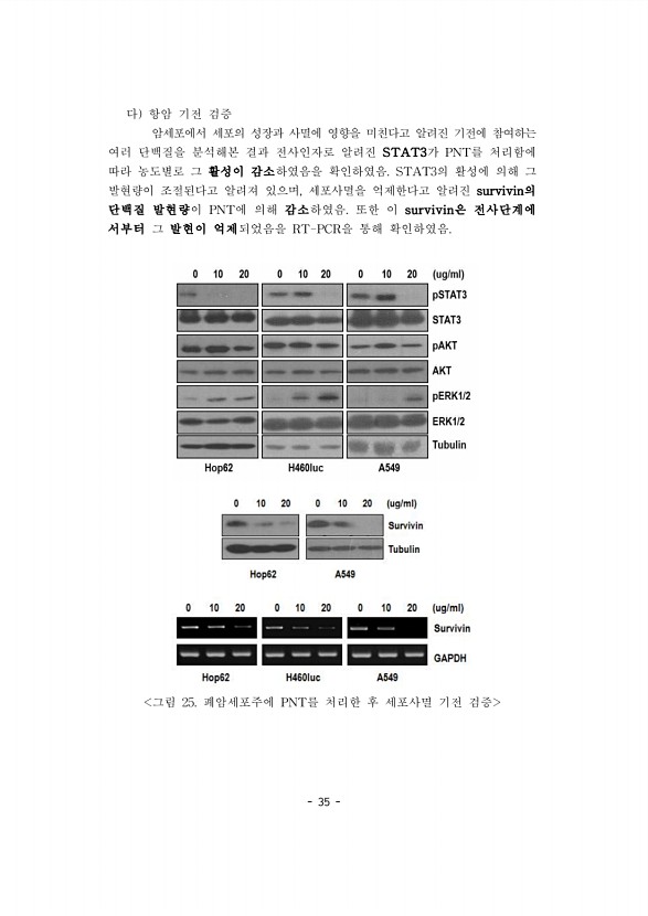 35페이지