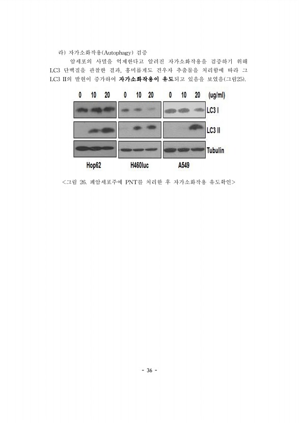 36페이지