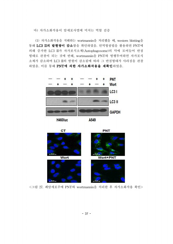 37페이지