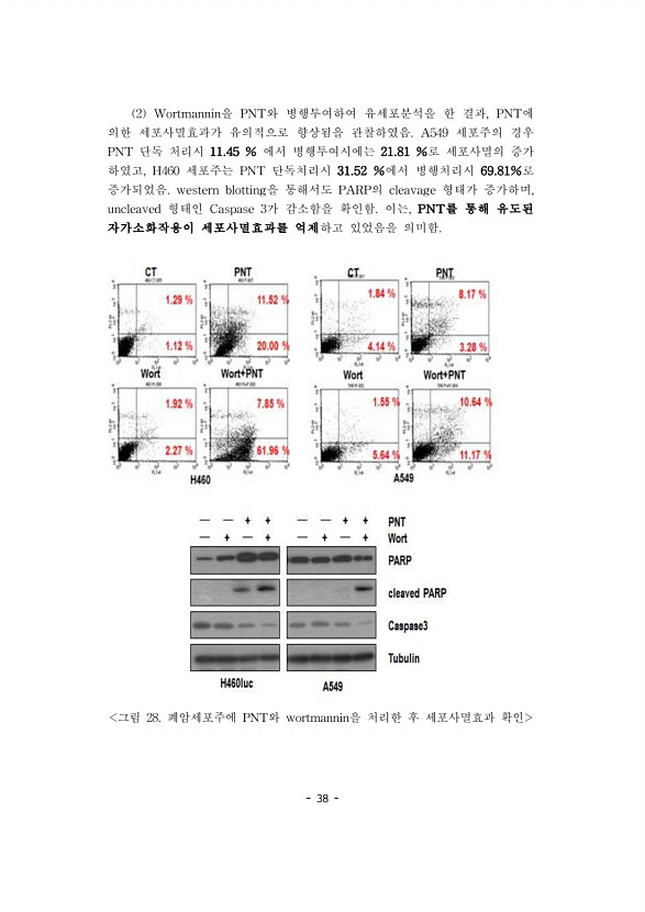 38페이지