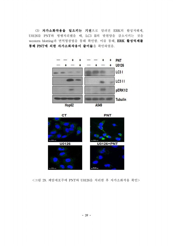 39페이지