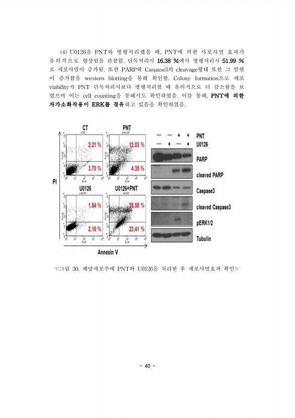 40페이지