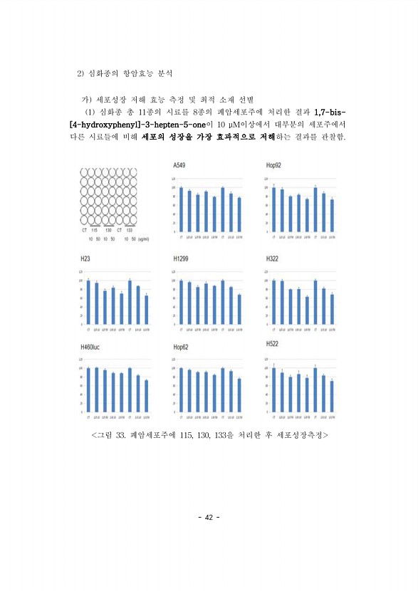 42페이지