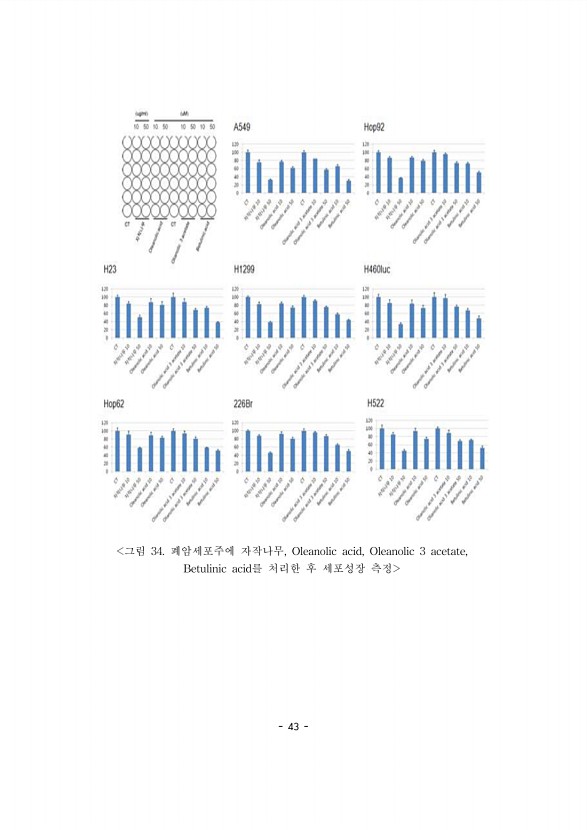 43페이지