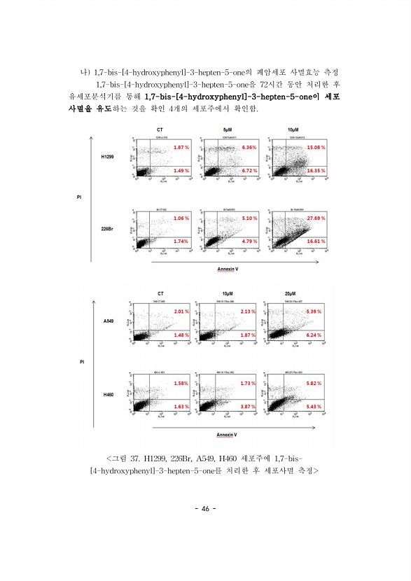 46페이지