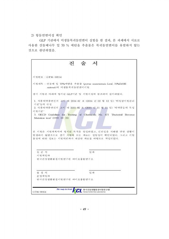 49페이지