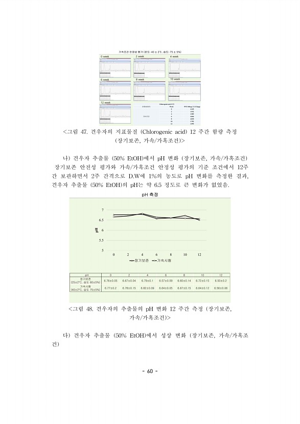 60페이지