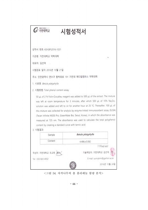 66페이지