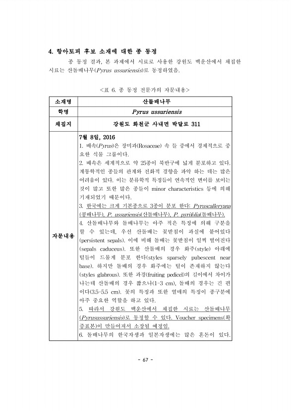 67페이지