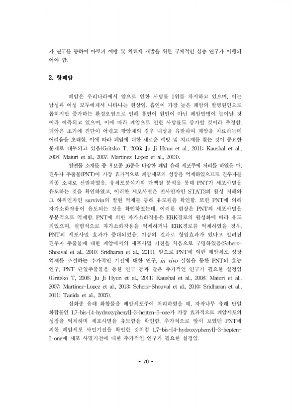 70페이지