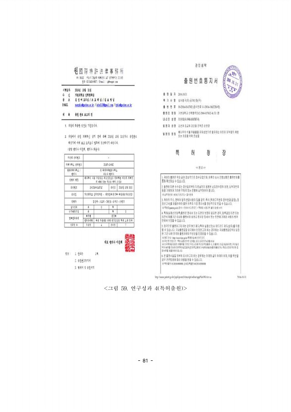 81페이지