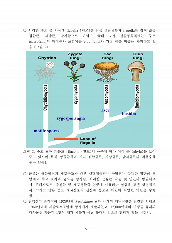 5페이지