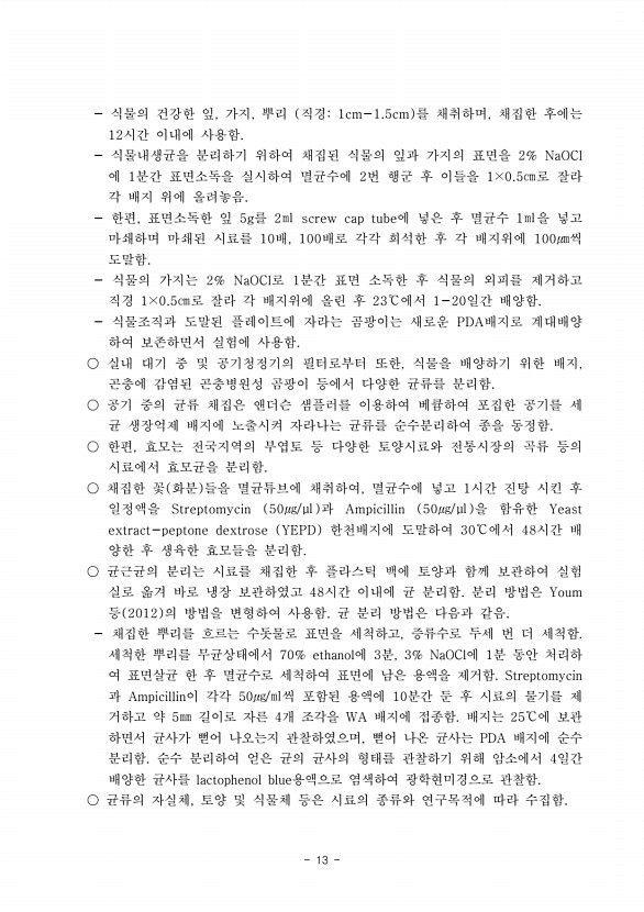13페이지