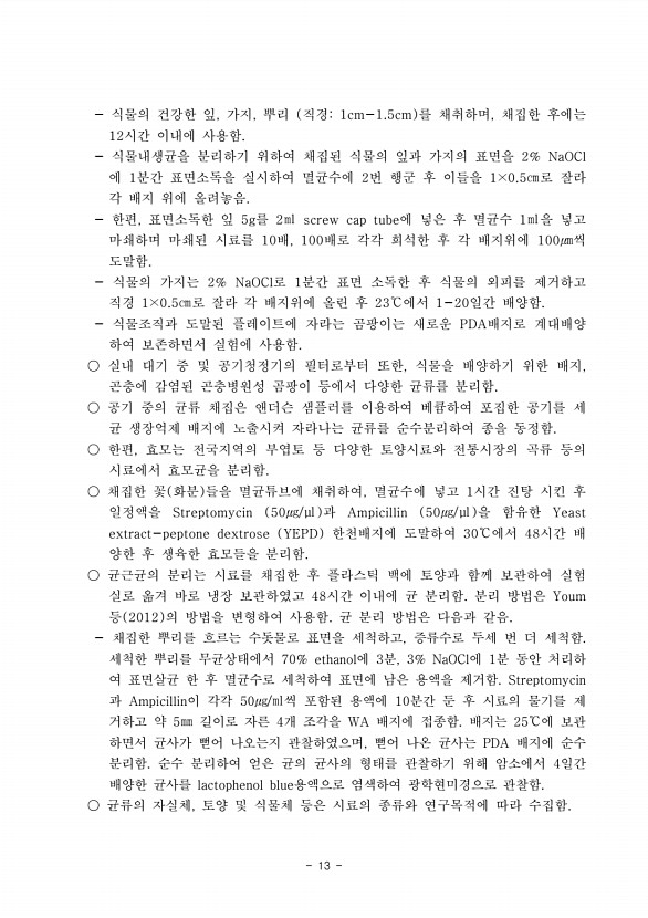 13페이지