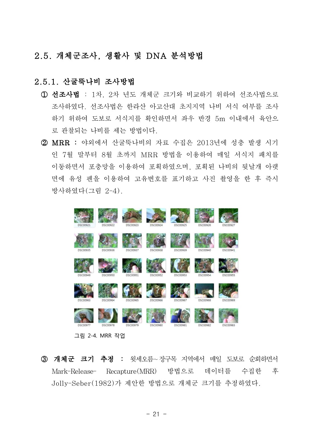 멸종위기종 산굴뚝나비의 종 및 서식지 보전‧복원 연구(III)