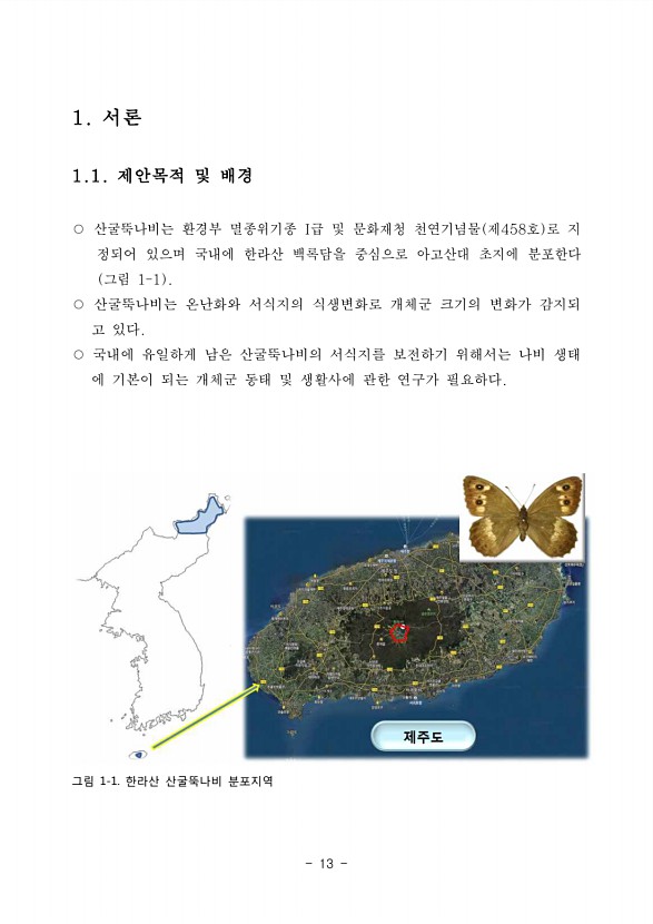 13페이지