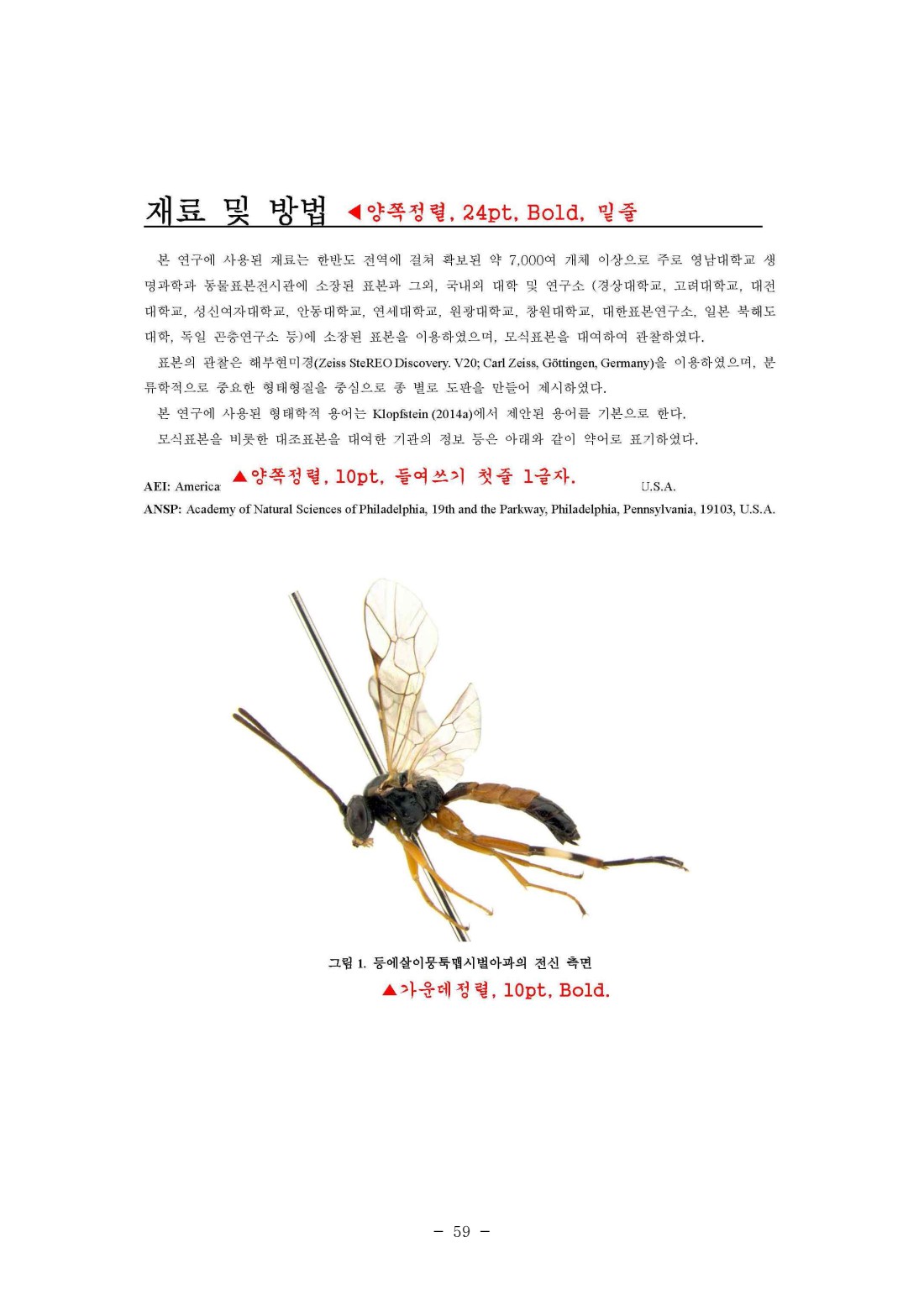 페이지