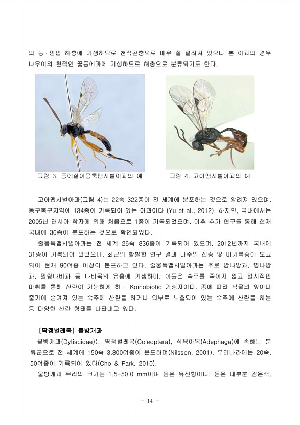 14페이지