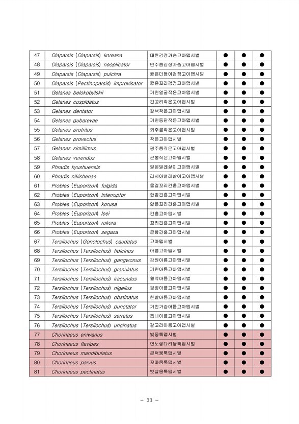 33페이지