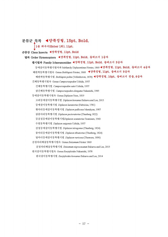57페이지