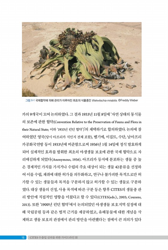 12페이지