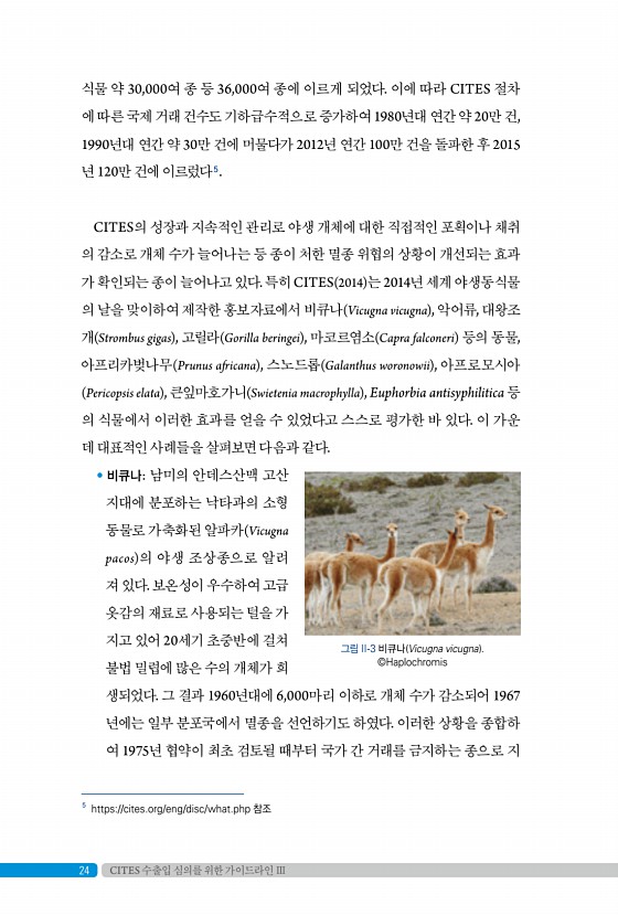 24페이지