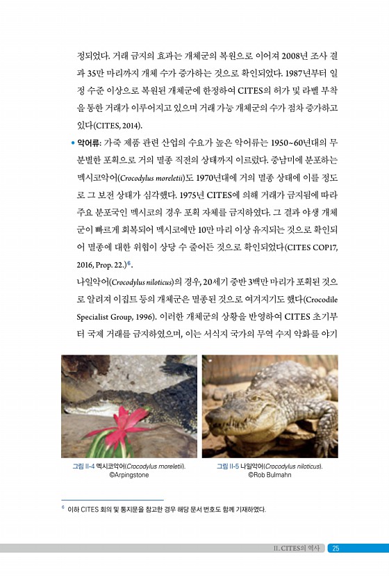 21페이지