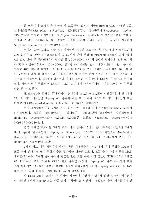 26페이지