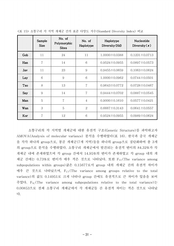 31페이지