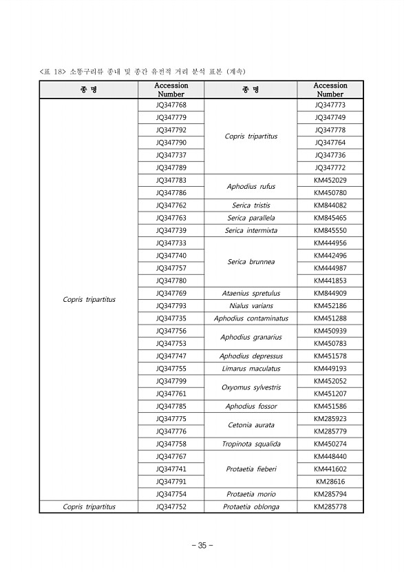 35페이지