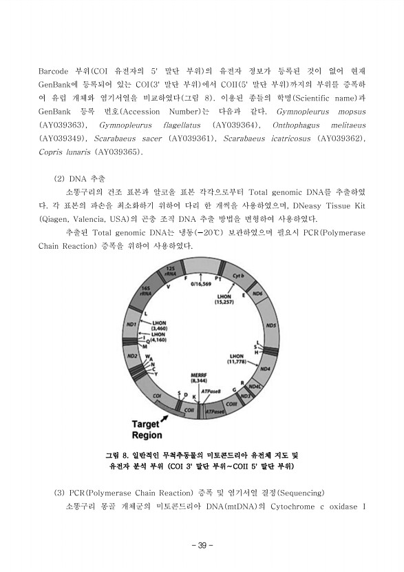 39페이지