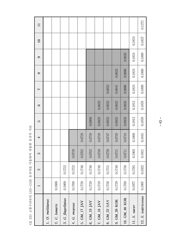 43페이지