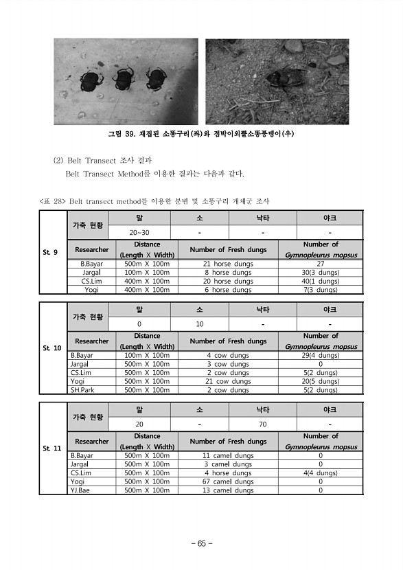 65페이지