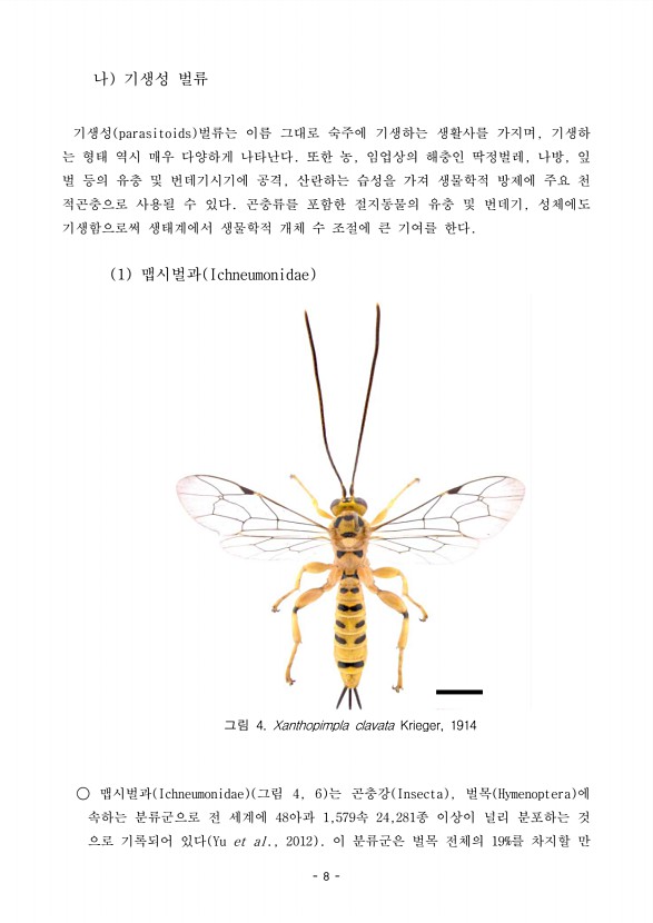 8페이지