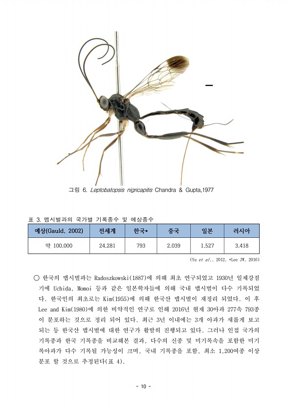 10페이지