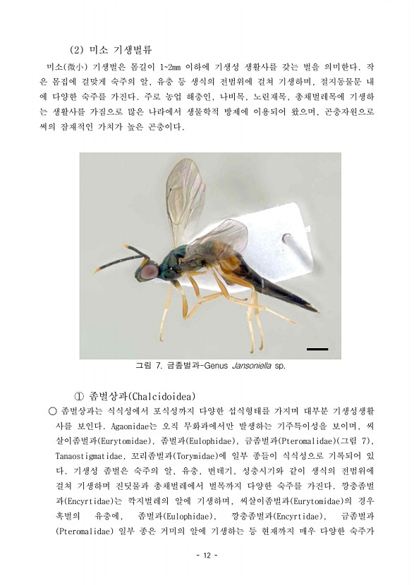 12페이지