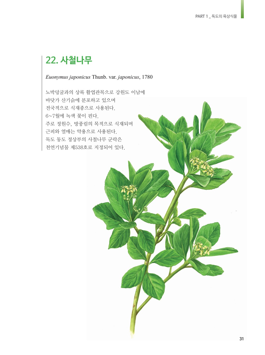 페이지