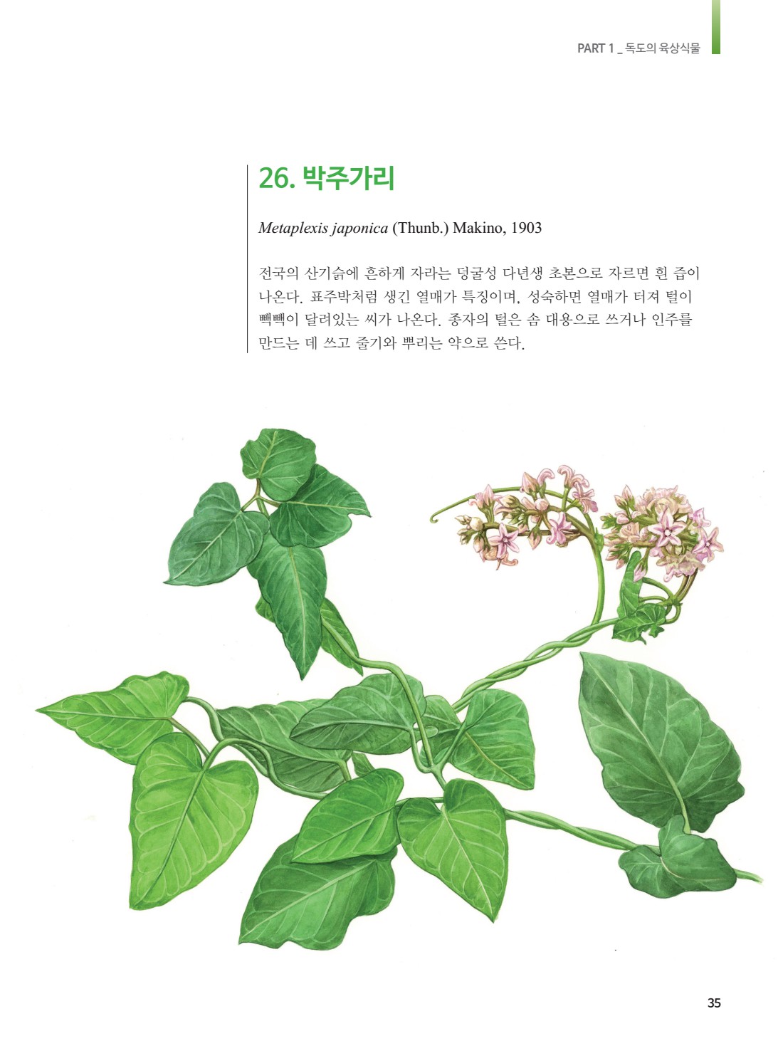 페이지