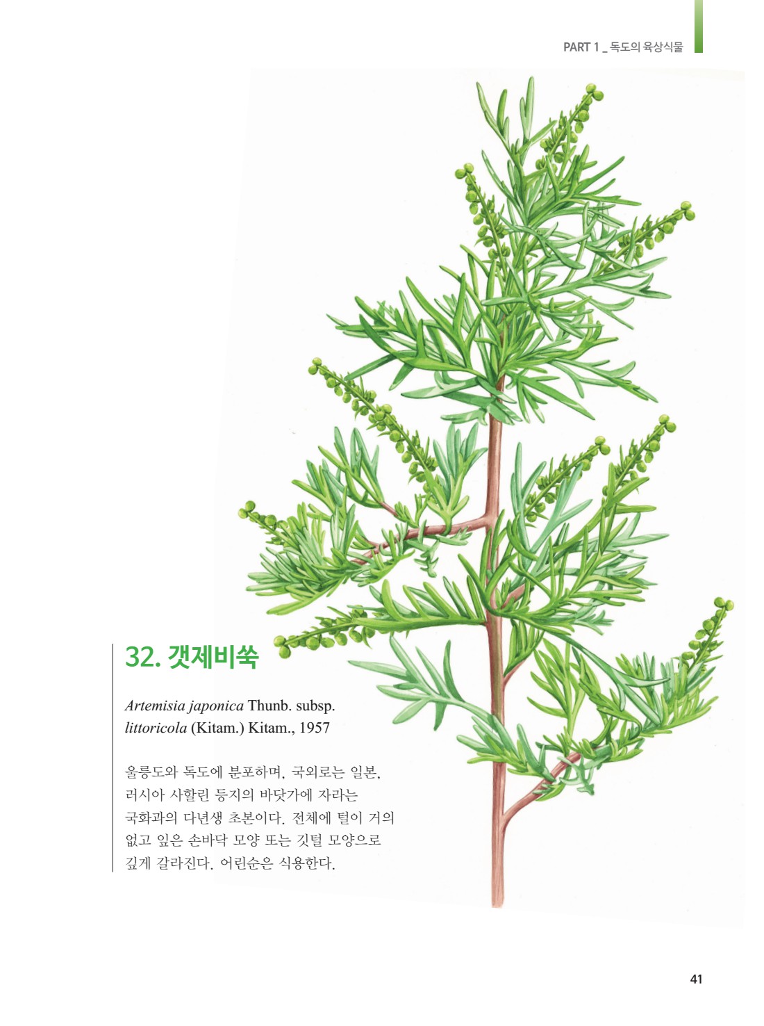 페이지