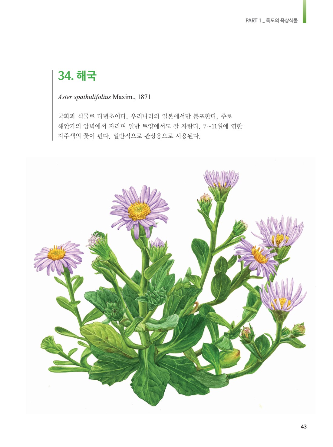 페이지
