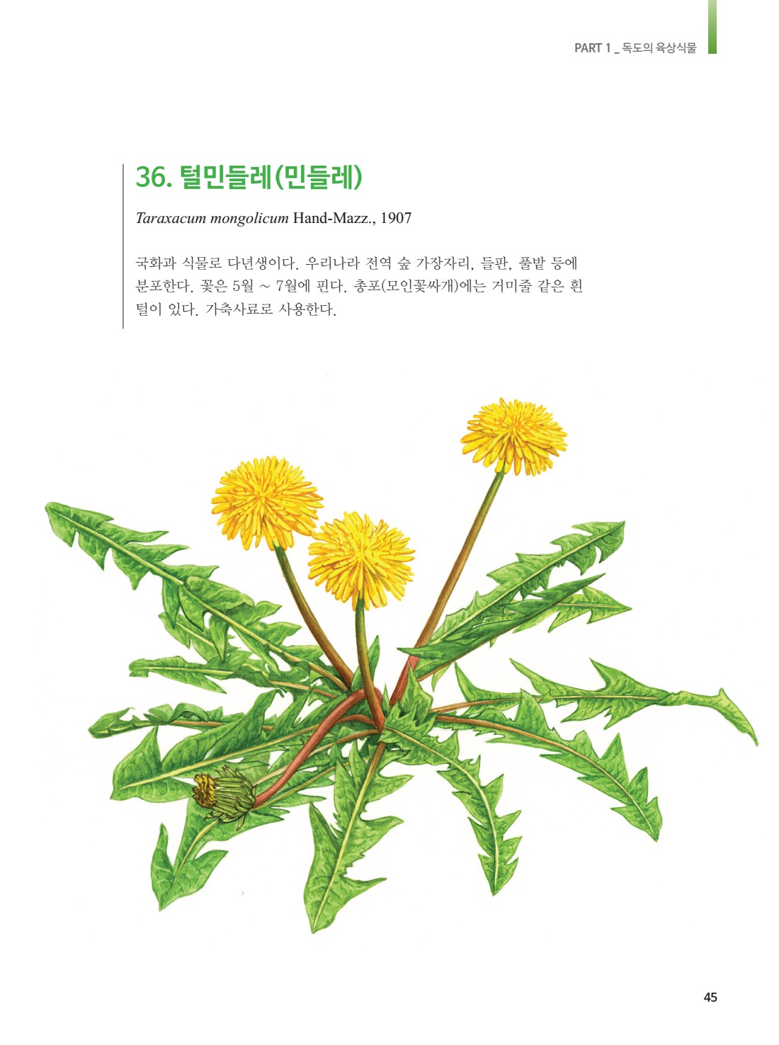페이지