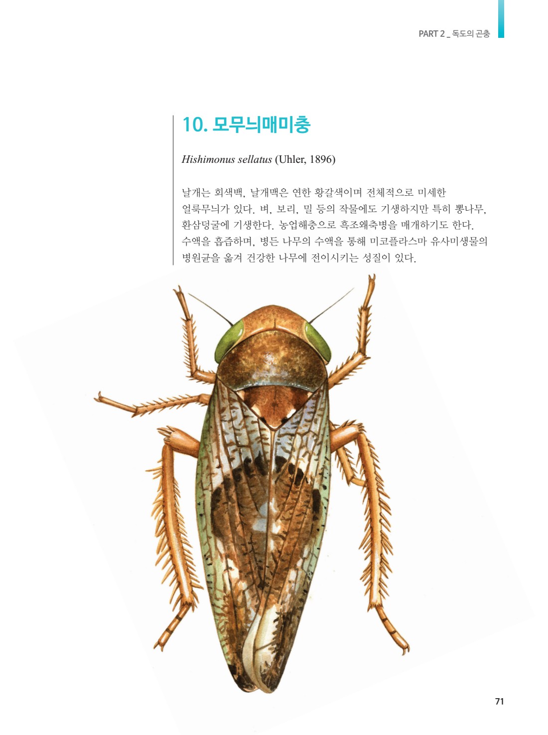 페이지