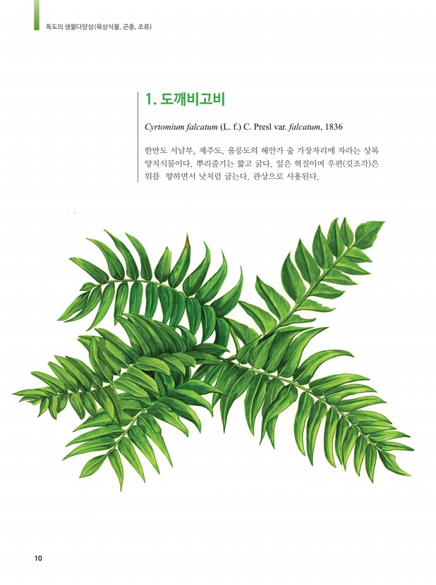 2페이지
